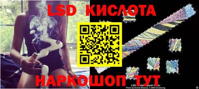 PSILOCYBIN Кингисепп